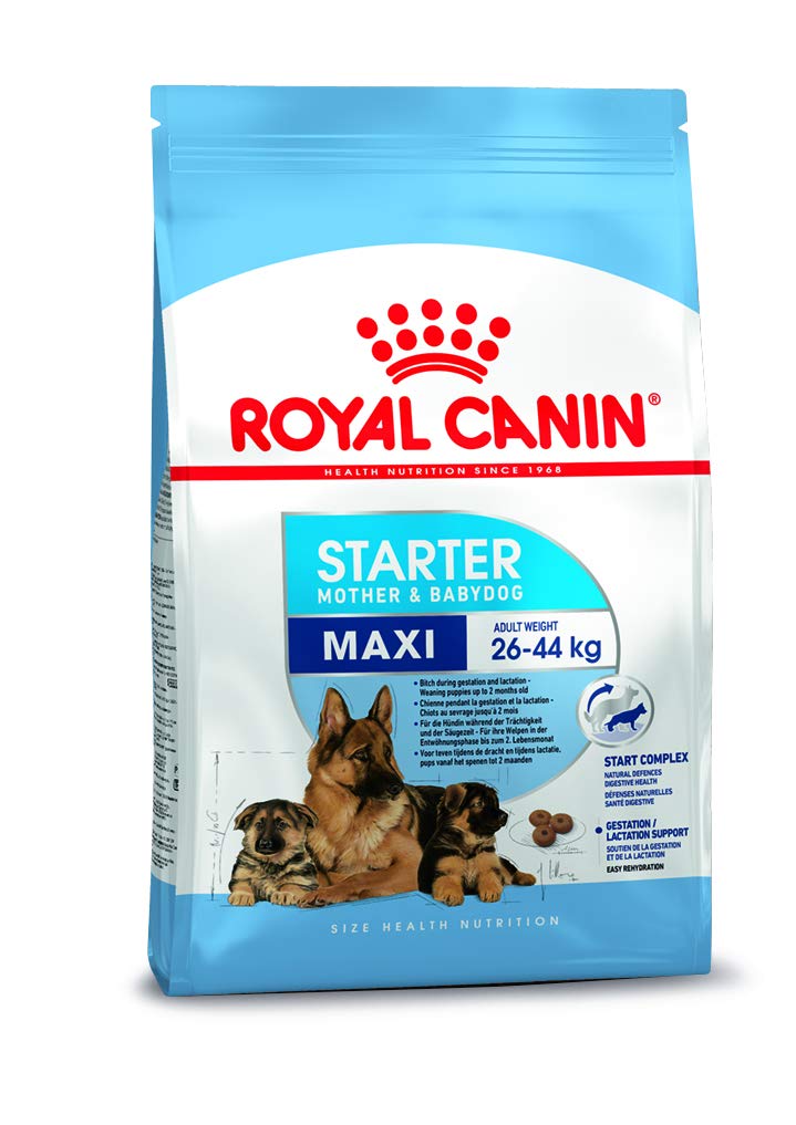 Royal Canin Maxi Starter 4 kg Rowdy Pet Store